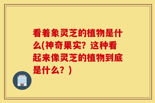 看着象灵芝的植物是什么(神奇果实？这种看起来像灵芝的植物到底是什么？)