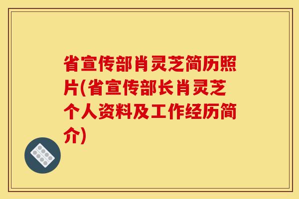 省宣传部肖灵芝简历照片(省宣传部长肖灵芝个人资料及工作经历简介)