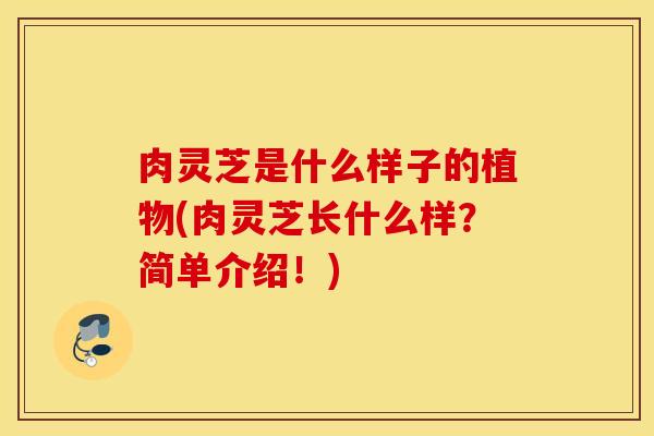 肉灵芝是什么样子的植物(肉灵芝长什么样？简单介绍！)