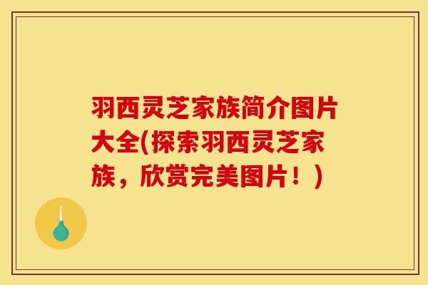 羽西灵芝家族简介图片大全(探索羽西灵芝家族，欣赏完美图片！)