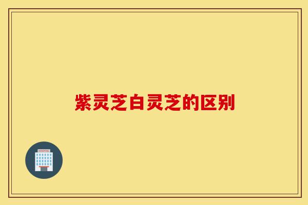 紫灵芝白灵芝的区别