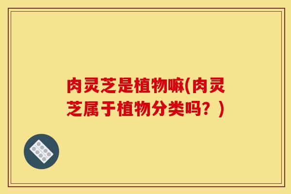 肉灵芝是植物嘛(肉灵芝属于植物分类吗？)