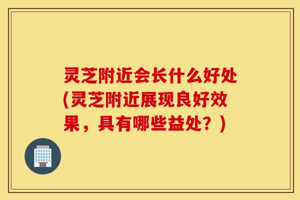 灵芝附近会长什么好处(灵芝附近展现良好效果，具有哪些益处？)