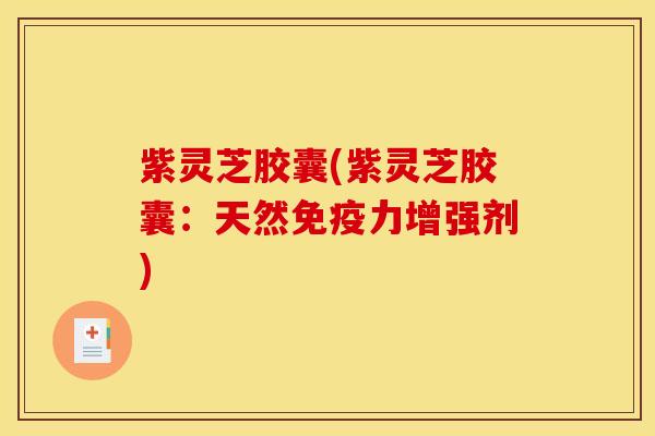 紫灵芝胶囊(紫灵芝胶囊：天然免疫力增强剂)