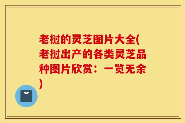 老挝的灵芝图片大全(老挝出产的各类灵芝品种图片欣赏：一览无余)