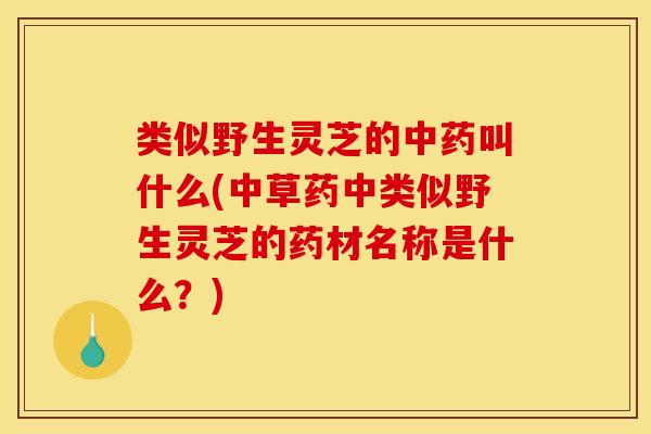 类似野生灵芝的中药叫什么(中草药中类似野生灵芝的药材名称是什么？)