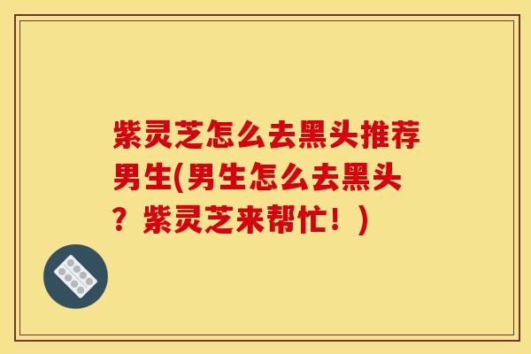 紫灵芝怎么去黑头推荐男生(男生怎么去黑头？紫灵芝来帮忙！)