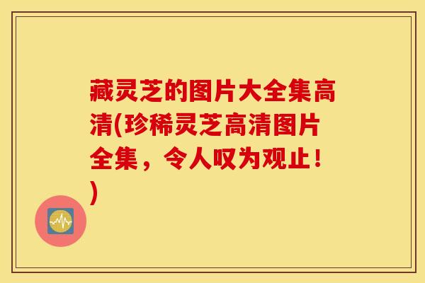 藏灵芝的图片大全集高清(珍稀灵芝高清图片全集，令人叹为观止！)