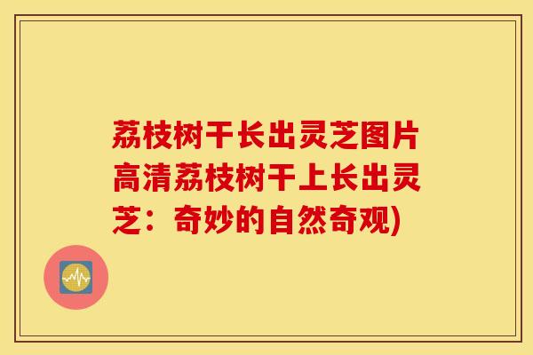 荔枝树干长出灵芝图片高清荔枝树干上长出灵芝：奇妙的自然奇观)