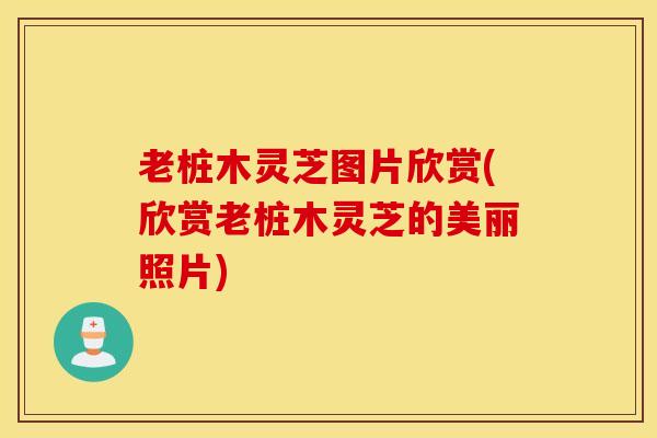 老桩木灵芝图片欣赏(欣赏老桩木灵芝的美丽照片)