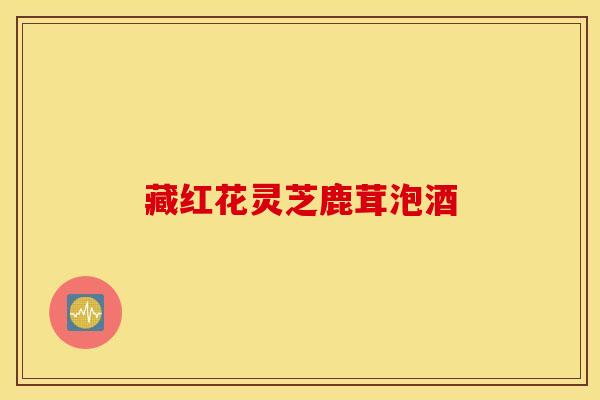 藏红花灵芝鹿茸泡酒