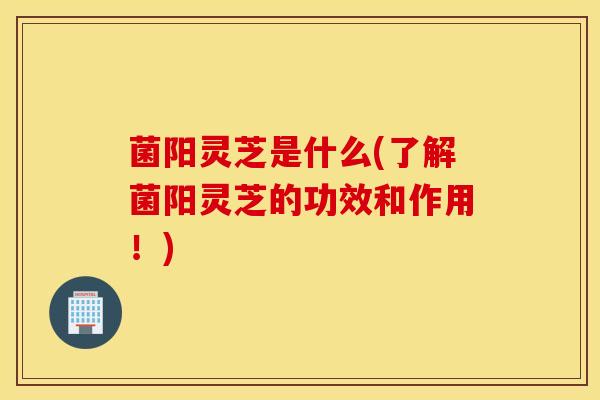 菌阳灵芝是什么(了解菌阳灵芝的功效和作用！)