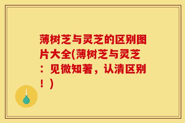 薄树芝与灵芝的区别图片大全(薄树芝与灵芝：见微知著，认清区别！)