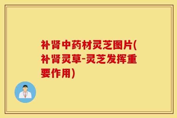 补肾中药材灵芝图片(补肾灵草-灵芝发挥重要作用)