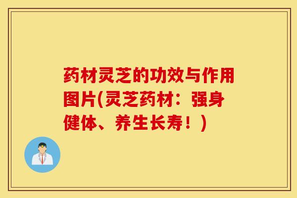 药材灵芝的功效与作用图片(灵芝药材：强身健体、养生长寿！)