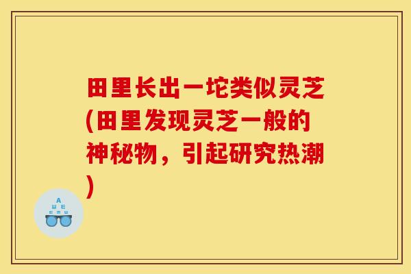 田里长出一坨类似灵芝(田里发现灵芝一般的神秘物，引起研究热潮)