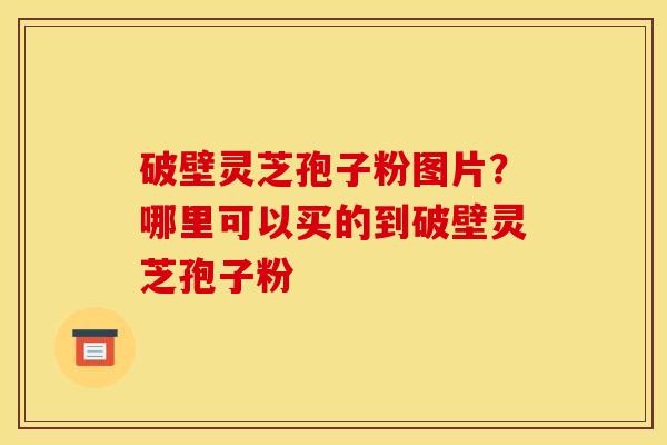破壁灵芝孢子粉图片？哪里可以买的到破壁灵芝孢子粉