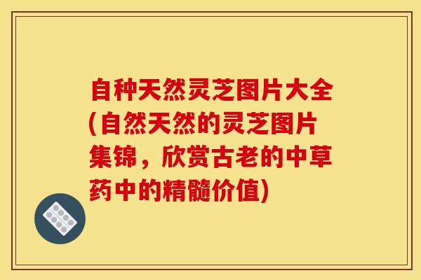 自种天然灵芝图片大全(自然天然的灵芝图片集锦，欣赏古老的中草药中的精髓价值)