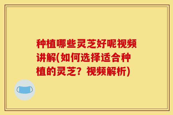 种植哪些灵芝好呢视频讲解(如何选择适合种植的灵芝？视频解析)