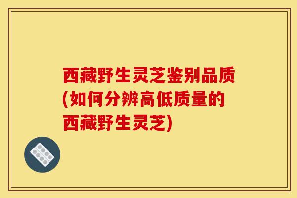 西藏野生灵芝鉴别品质(如何分辨高低质量的西藏野生灵芝)