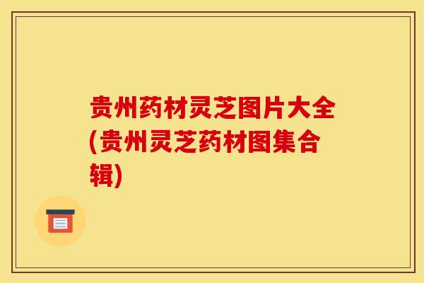 贵州药材灵芝图片大全(贵州灵芝药材图集合辑)