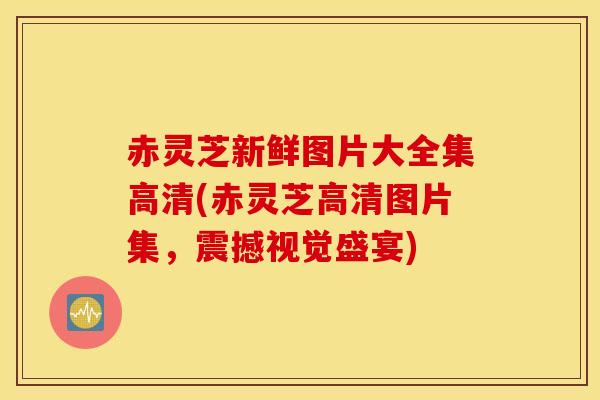 赤灵芝新鲜图片大全集高清(赤灵芝高清图片集，震撼视觉盛宴)