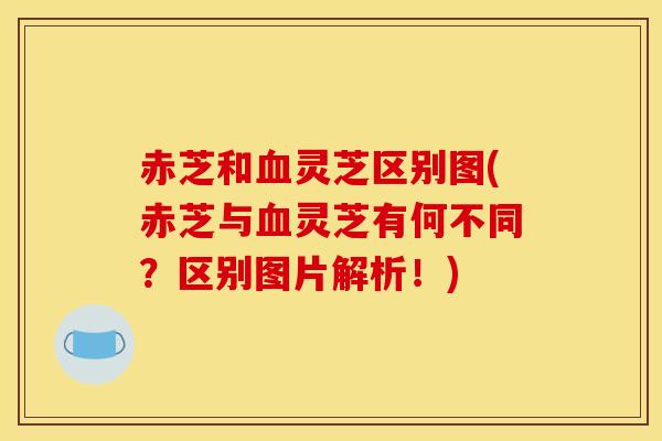 赤芝和血灵芝区别图(赤芝与血灵芝有何不同？区别图片解析！)