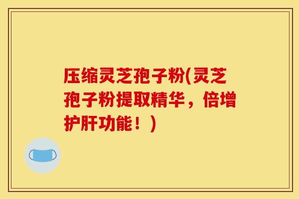 压缩灵芝孢子粉(灵芝孢子粉提取精华，倍增护肝功能！)