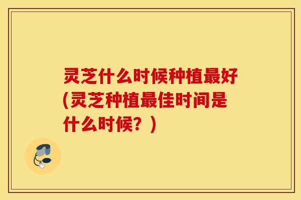 灵芝什么时候种植最好(灵芝种植最佳时间是什么时候？)