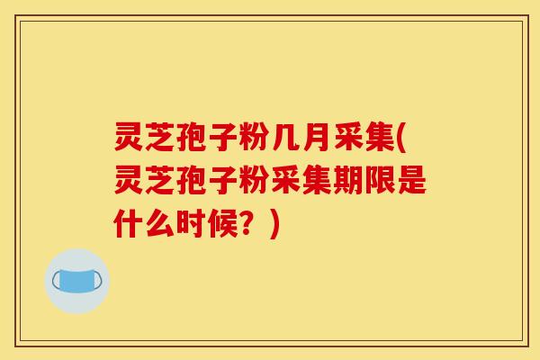 灵芝孢子粉几月采集(灵芝孢子粉采集期限是什么时候？)