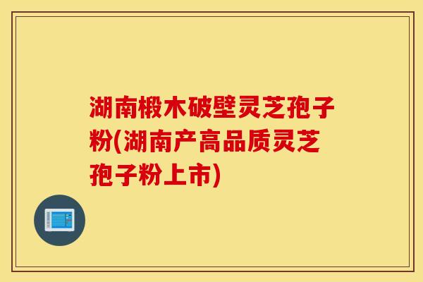 湖南椴木破壁灵芝孢子粉(湖南产高品质灵芝孢子粉上市)