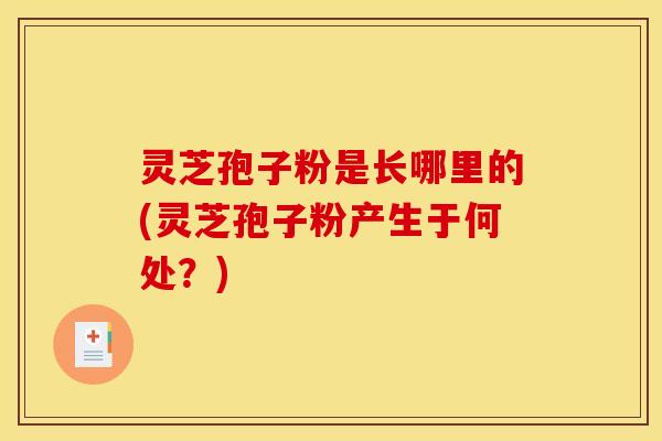 灵芝孢子粉是长哪里的(灵芝孢子粉产生于何处？)