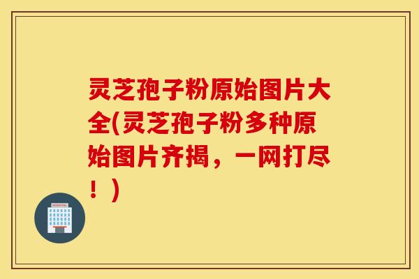 灵芝孢子粉原始图片大全(灵芝孢子粉多种原始图片齐揭，一网打尽！)
