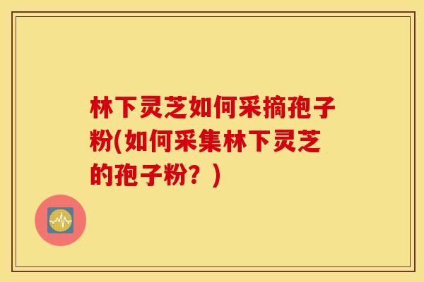 林下灵芝如何采摘孢子粉(如何采集林下灵芝的孢子粉？)