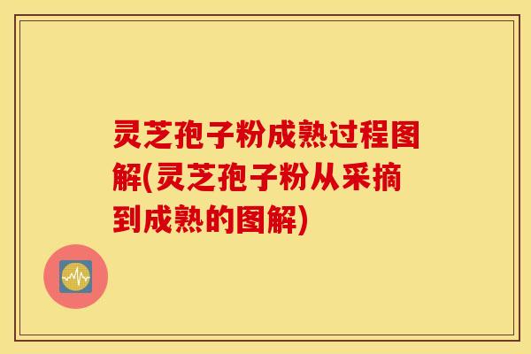 灵芝孢子粉成熟过程图解(灵芝孢子粉从采摘到成熟的图解)