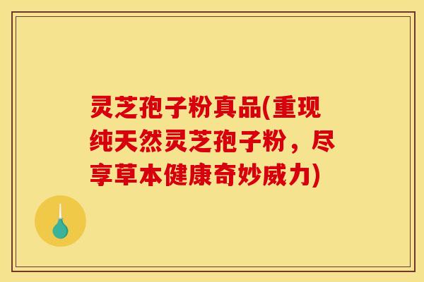 灵芝孢子粉真品(重现纯天然灵芝孢子粉，尽享草本健康奇妙威力)