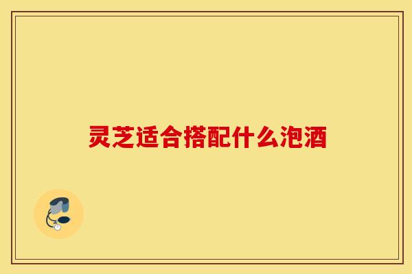 灵芝适合搭配什么泡酒