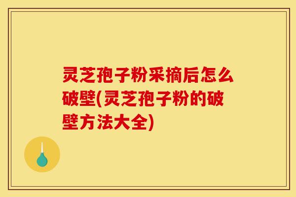 灵芝孢子粉采摘后怎么破壁(灵芝孢子粉的破壁方法大全)