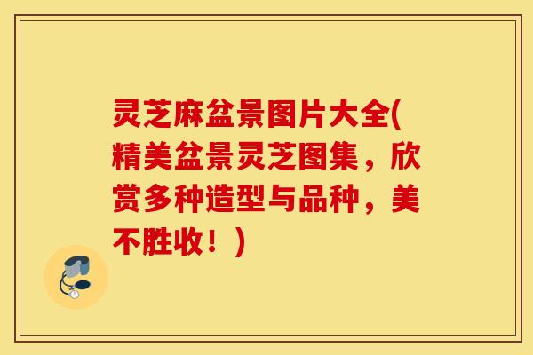 灵芝麻盆景图片大全(精美盆景灵芝图集，欣赏多种造型与品种，美不胜收！)