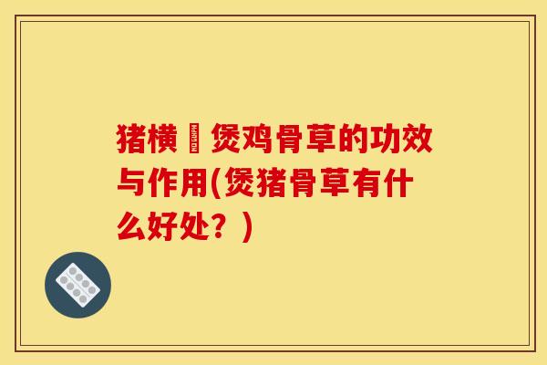 猪横脷煲鸡骨草的功效与作用(煲猪骨草有什么好处？)