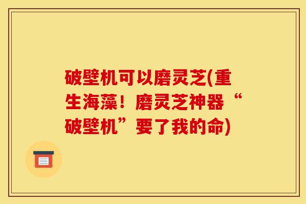 破壁机可以磨灵芝(重生海藻！磨灵芝神器“破壁机”要了我的命)