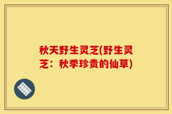 秋天野生灵芝(野生灵芝：秋季珍贵的仙草)