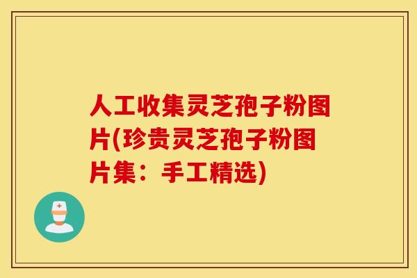 人工收集灵芝孢子粉图片(珍贵灵芝孢子粉图片集：手工精选)