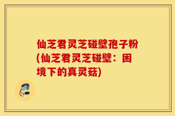 仙芝君灵芝碰壁孢子粉(仙芝君灵芝碰壁：困境下的真灵菇)