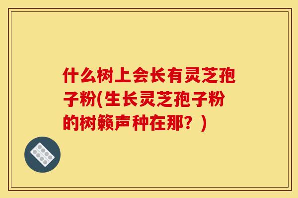 什么树上会长有灵芝孢子粉(生长灵芝孢子粉的树籁声种在那？)