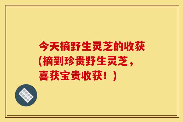 今天摘野生灵芝的收获(摘到珍贵野生灵芝，喜获宝贵收获！)