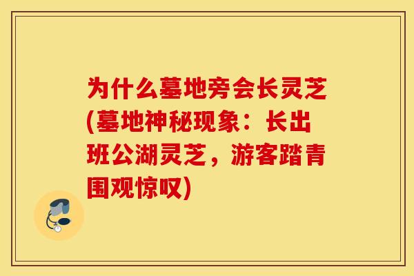 为什么墓地旁会长灵芝(墓地神秘现象：长出班公湖灵芝，游客踏青围观惊叹)
