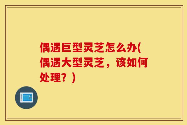 偶遇巨型灵芝怎么办(偶遇大型灵芝，该如何处理？)