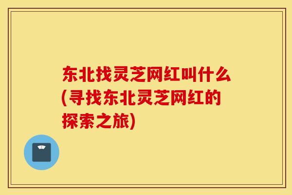 东北找灵芝网红叫什么(寻找东北灵芝网红的探索之旅)