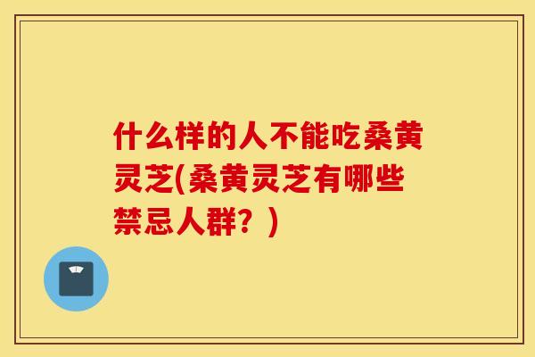 什么样的人不能吃桑黄灵芝(桑黄灵芝有哪些禁忌人群？)
